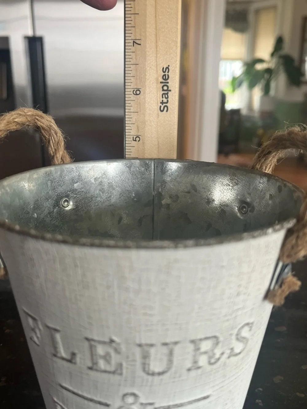 Set of 3 Fleurs & Plantes Rustic White Metal Planter with Rope Handles